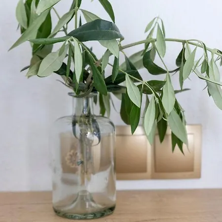 בית הארחה Hill Thassos