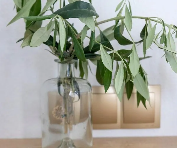 Maison d'hôtes Hill Thassos